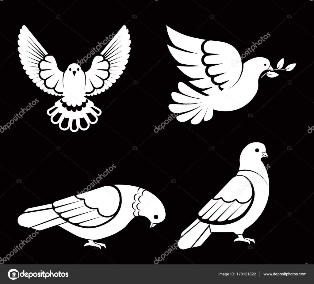 Pigeon Tattoos Symbolism Meanings  More