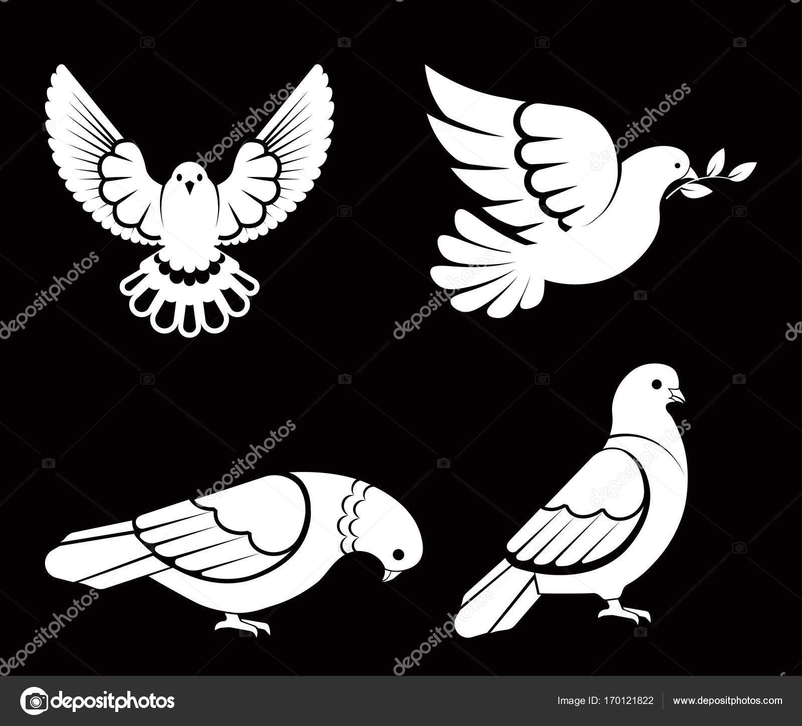 Jeu Doiseaux De Pigeon Image Vectorielle Sonulkaster