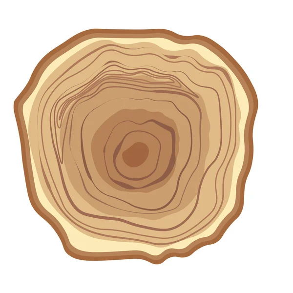 Anelli anno legno albero — Vettoriale Stock