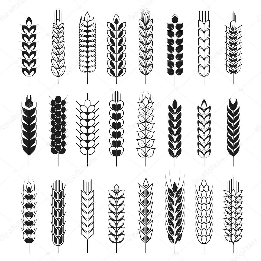 Spikelets icons set