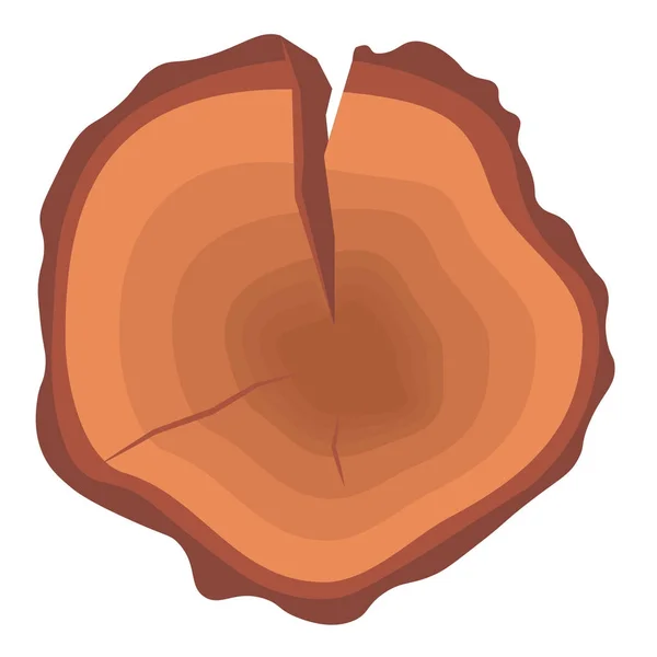 Anel do ano de madeira de árvore — Vetor de Stock