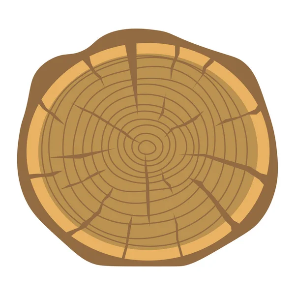 Anillo año madera árbol — Archivo Imágenes Vectoriales