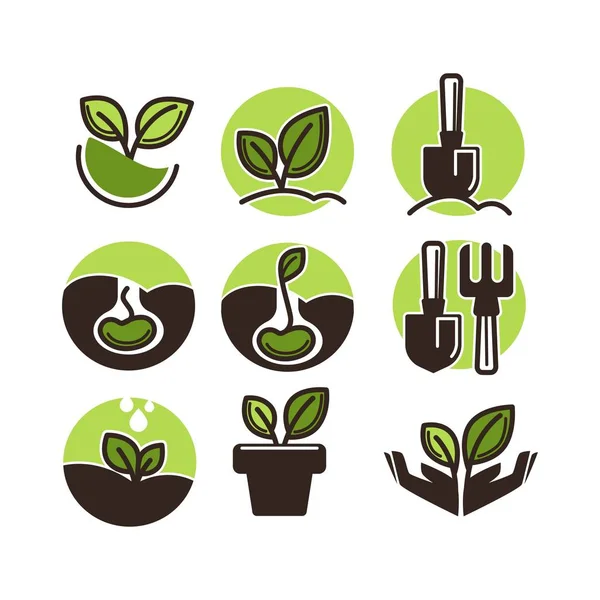 Iconos de jardinería y plantación — Vector de stock