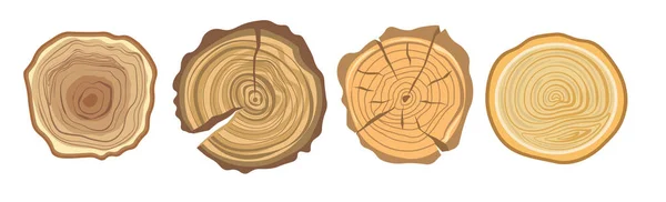 Boom hout jaar ringen set — Stockvector