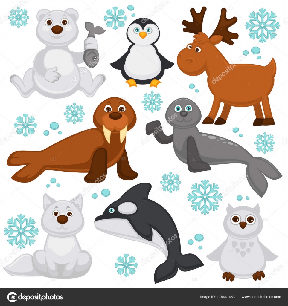 Polar Animals Arctic Fish Cartoon Characters Vector Funny Isolated Icons Stock Vector Image By C Sonulkaster