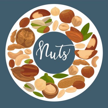 Lezzetli besleyici fındık reklam banner büyük daire içinde italik işareti ile beyaz arka plan üzerinde vektör illüstrasyon izole. Sağlıklı gıda, vitaminler ve mineraller ticari posteri tam.