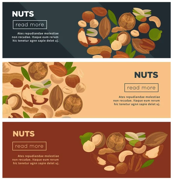 Nueces Nutritivas Saludables Promocionales Páginas Internet Plantillas Conjunto Deliciosas Almendras — Vector de stock