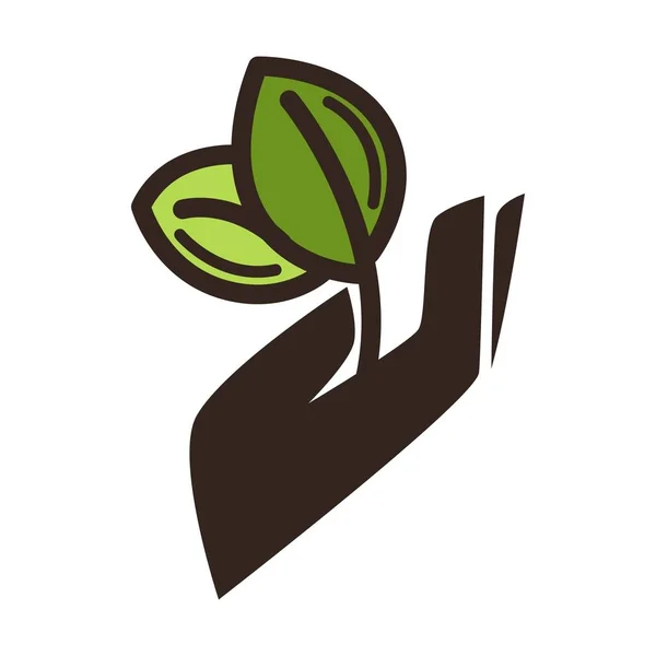 Πράσινο Φύλλο Στο Χέρι Οικολογικό Λογότυπο Πρότυπο Για Κηπουρική Έννοια — Διανυσματικό Αρχείο