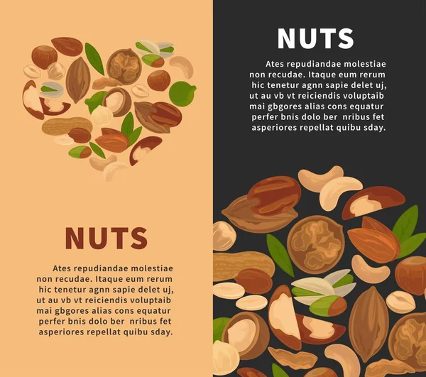 Nuts Posters Seeds Fruit Kernels Vector Flat Design Hazelnut Cashew — Stock Vector