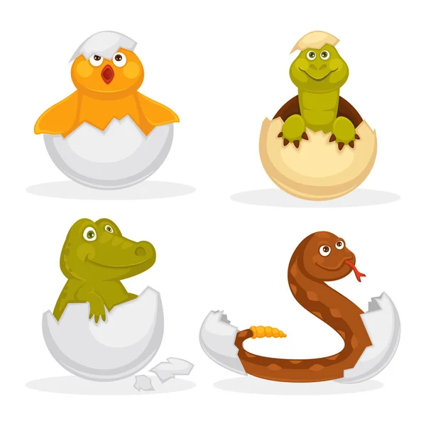 Baby animals hatch eggs or cartoon pets hatching. Vector flat isolated funny toy icons rattle snake, crocodile baby, chick or duck bird. Kid animal characters set