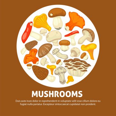 Olgun orman mantar dağınık yığın promosyon afiş ile küçük örnek metin altında çizgi film düz vektör illüstrasyon kahverengi zemin üzerine beyaz daire içine yerleştirilen yenilebilir türler.