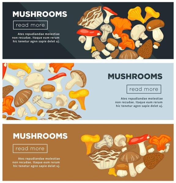 Natural ripe mushrooms from forest grown without pesticides in big heap on informative Internet pages templates with sample text and buttons to read more cartoon flat vector illustrations set.