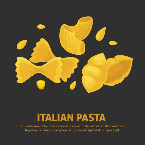 Exquisitos Productos Pasta Italiana Natural Formas Arco Concha Alta Calidad — Vector de stock