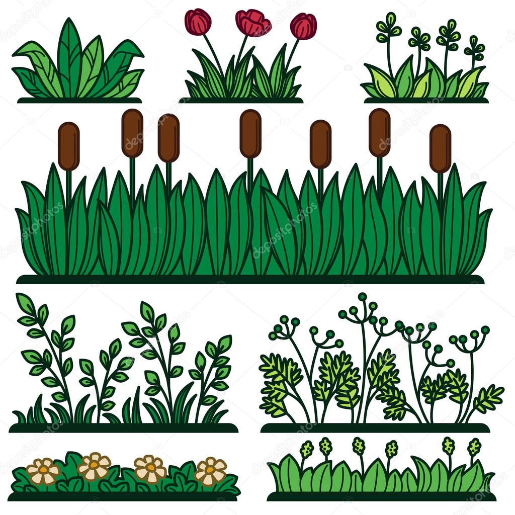 Greenery green grass flower plants and decorative verdure. Vector flat isolated icons of reed, floral garden bushes and green floral tree hedge