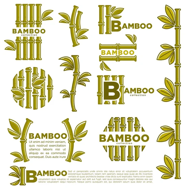 Bamboo Logo Templates Vector Isolated Green Bamboo Branches Leaf Textile — Stock Vector