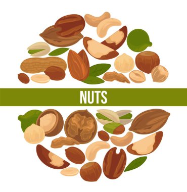 Lezzetli besleyici fındık reklam banner. Sağlıklı gıda, vitaminler ve mineraller ticari posteri tam.