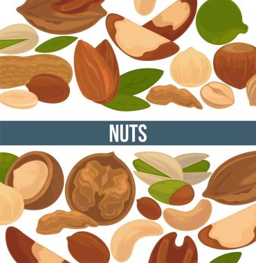 Lezzetli besleyici fındık reklam banner. Sağlıklı gıda, vitaminler ve mineraller ticari posteri tam.