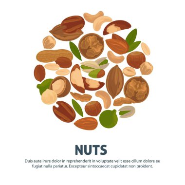 Beyaz izole lezzetli besleyici fındık reklam banner. Sağlıklı gıda, vitaminler ve mineraller ticari posteri tam.