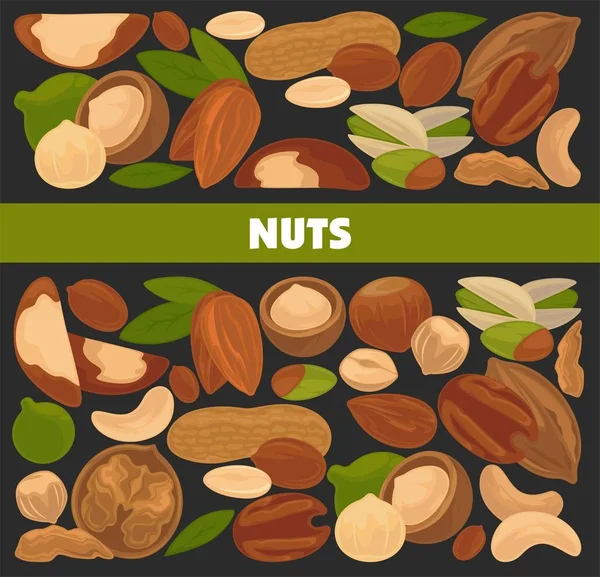 美味的营养坚果广告横幅 富含维他命和矿物质的健康食品商业海报 — 图库矢量图片