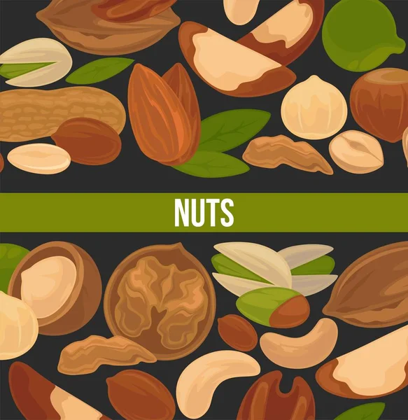 Delicioso Anuncio Nueces Nutritivas Banner Alimento Saludable Lleno Vitaminas Minerales — Vector de stock