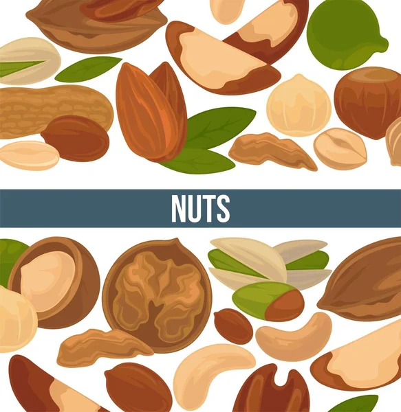 Delicioso Anuncio Nueces Nutritivas Banner Alimento Saludable Lleno Vitaminas Minerales — Archivo Imágenes Vectoriales