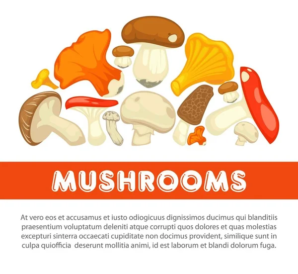 成熟的森林蘑菇所有可食用的种类在宣传海报与样品文本 有机食品的天然收获 充满健康的蛋白质 — 图库矢量图片