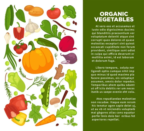 Organic Verdure Cibo Poster Modello Sfondo Dieta Vegetariana Dieta Vegana — Vettoriale Stock