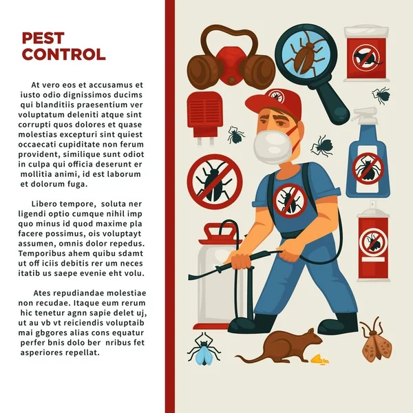 Servicio Exterminio Control Plagas Desinfección Sanitaria Doméstica Vector Plano Diseño — Vector de stock