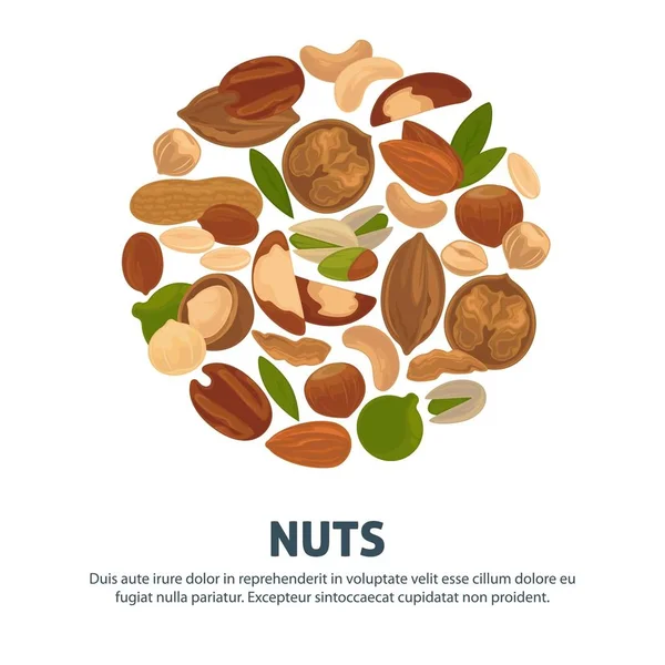 おいしい栄養価の高いナッツの広告バナーが白で隔離 ビタミンやミネラル 商業ポスターの完全な健康食品 — ストックベクタ