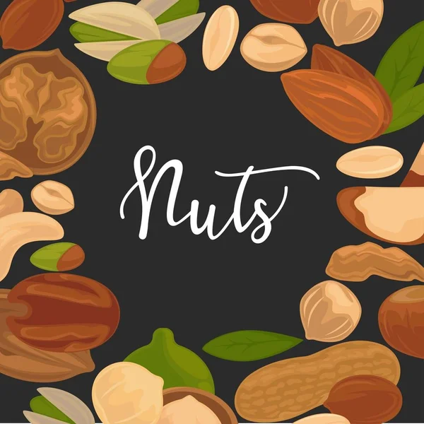 Delizioso banner pubblicitario nutriente noccioline con segno corsivo all'interno grande cerchio isolato illustrazione vettoriale — Vettoriale Stock