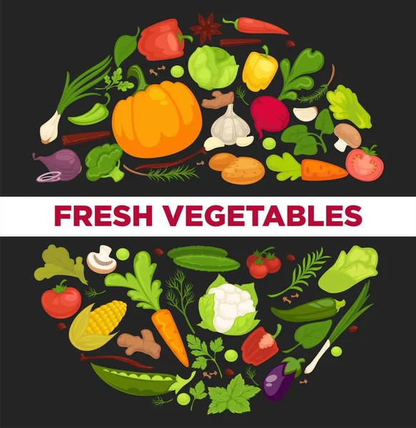 Vegetables Healthy Food Poster Organic Veggie Fresh Healthy Cabbage Vegetarian — Stock Vector