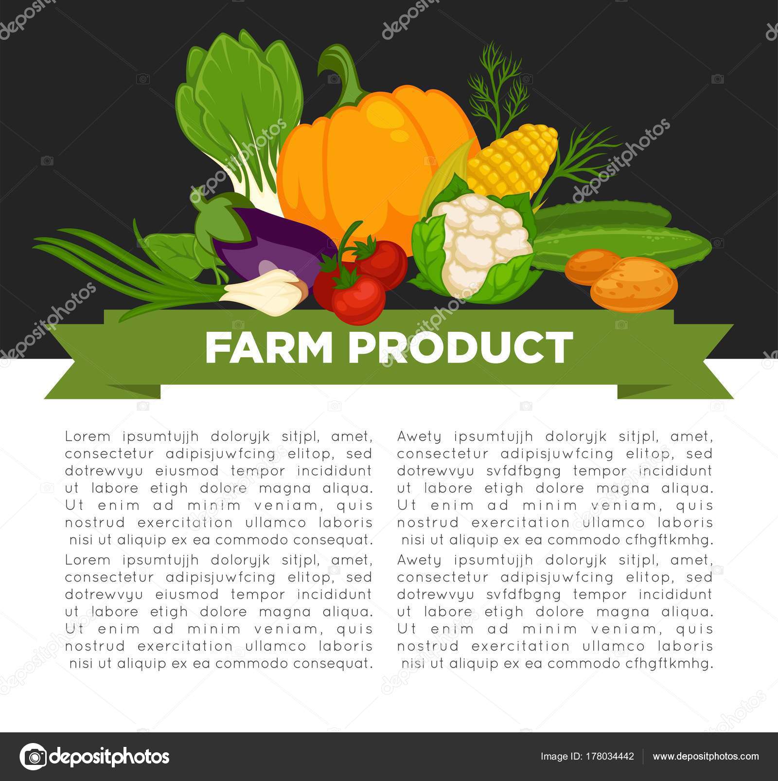 modello di dieta vegetariana modello di dieta vegetariana