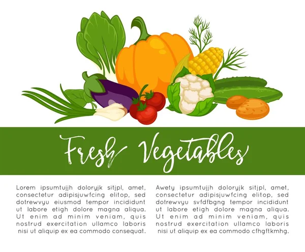有机蔬菜食品海报背景模板的素食饮食或素食饮食 蔬菜和农场蔬菜萝卜 西红柿和胡椒或生菜沙拉和花椰菜白菜 — 图库矢量图片