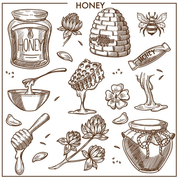 Miel dulce de colmenar — Vector de stock