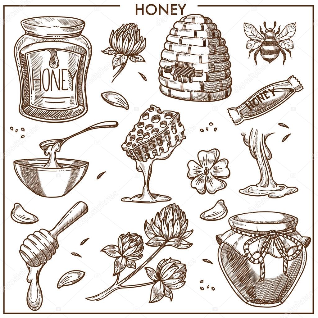 Sweet honey from apiary 