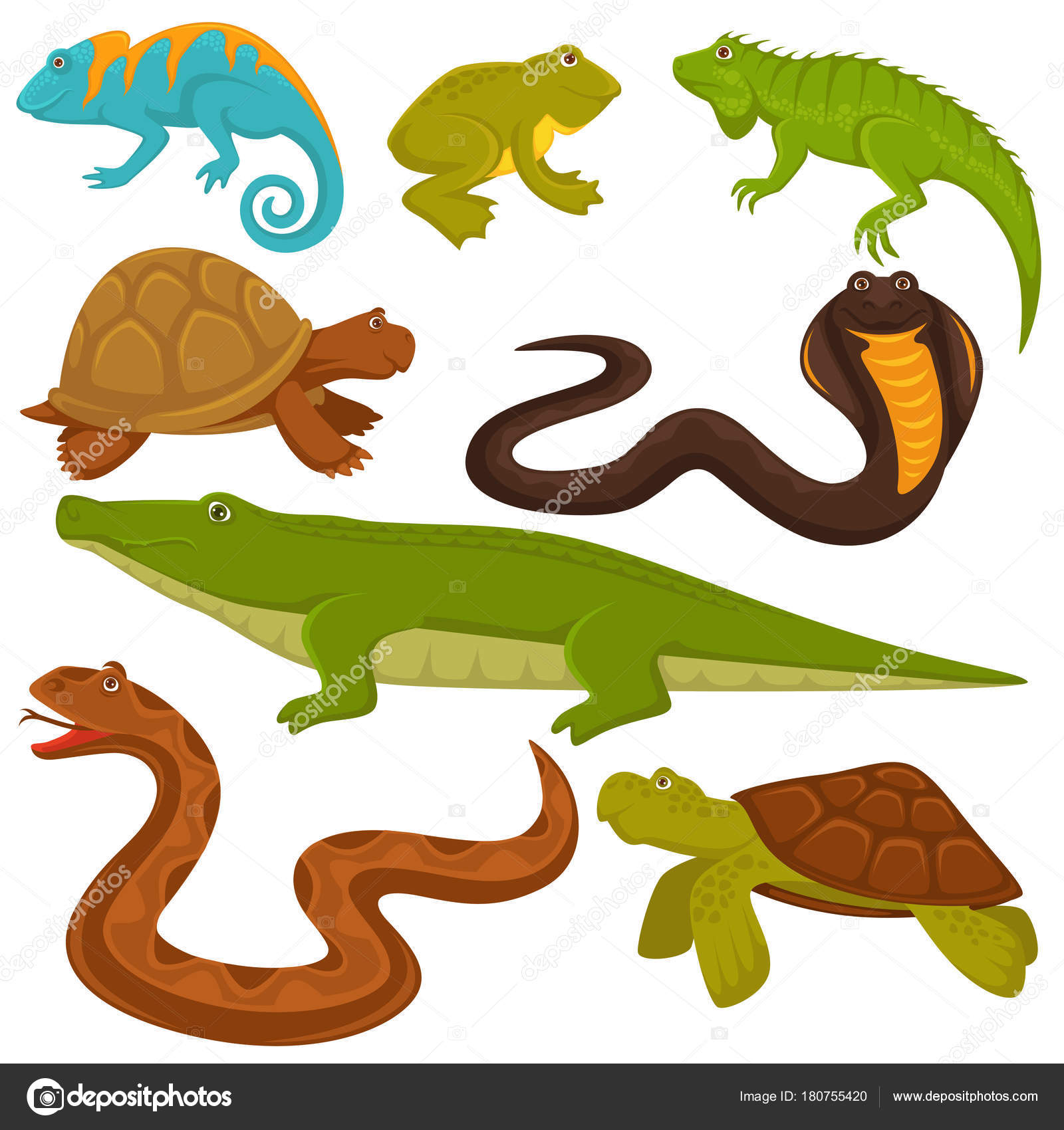Image vectorielle Reptiles Animaux Reptiliens Vecteurs Icônes Tortues  Crocodiles Caméléons Iguanes Lézards par ©Sonulkaster - 180755420, image size:1600x1700