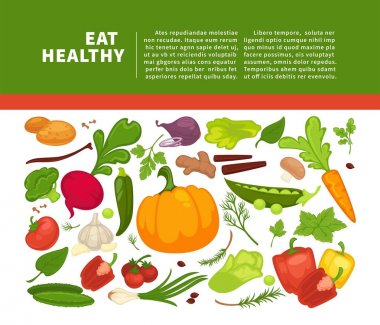 Organik sebze gıda afiş arka plan şablonu diyet vejetaryen yemek veya vegan diyet. Vektör sebze ve çiftlik sebzeler turp, domates ve biber veya marul salatası ve karnabahar lahana