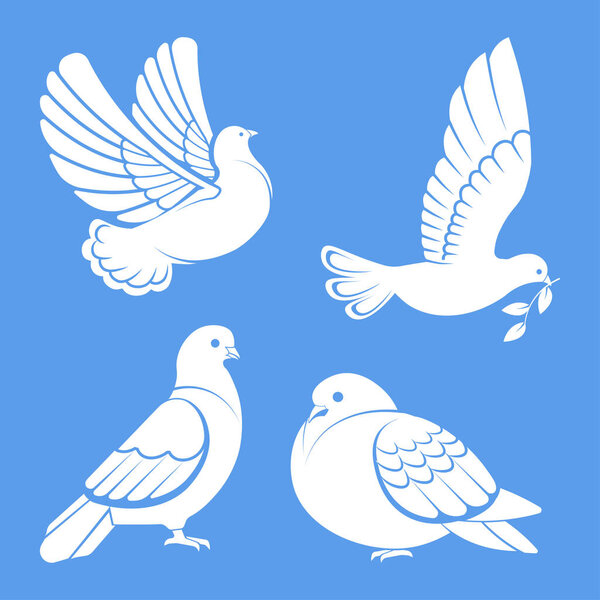 Pigeon or dove, white bird flying with spread wings in sky or sitting set. Vector logo template or isolated symbol icon of peace freedom or post mail delivery and tattoo