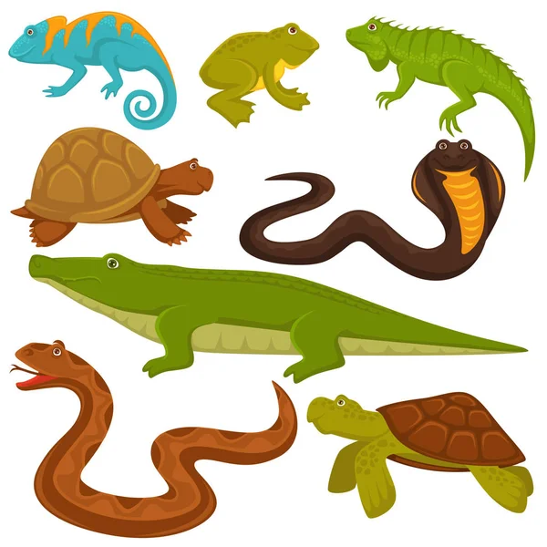 Reptiles Reptiles Vector Animales Iconos Tortuga Cocodrilo Camaleón Iguana Lagarto — Archivo Imágenes Vectoriales