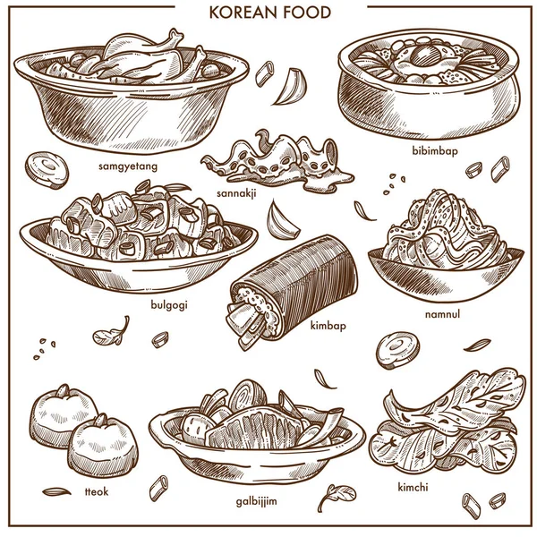 Korean cuisine traditional dishes sketch icons. Vector set of samgyetang chicken with sannakji and kimchi cabbage, spicy ramen noodles soup or bulgogi and kimpab with pastry for Korea restaurant — Stock Illustration Korean Cuisine Traditional Dishes Sketch Icons Vector Set Samgyetang Chicken Vector Graphics