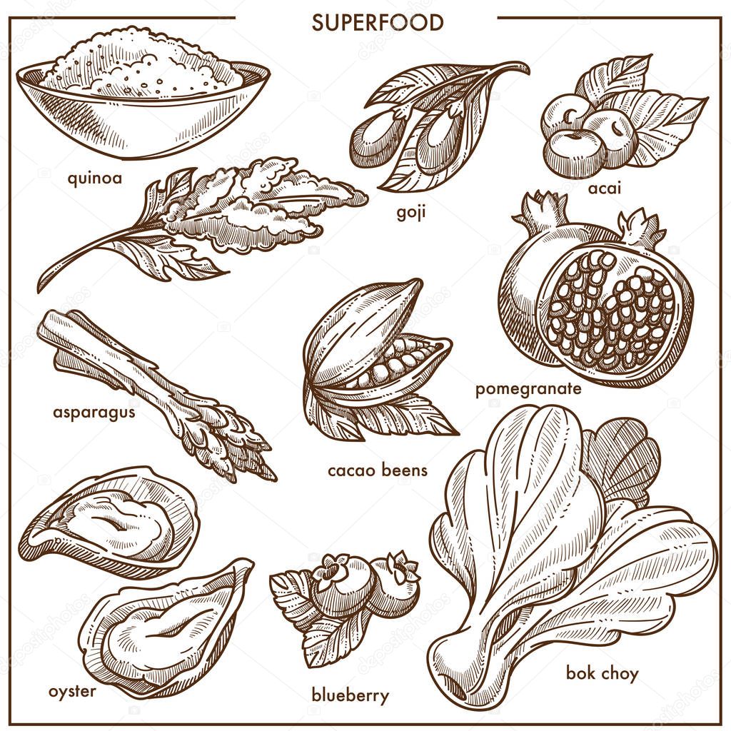 Superfood healthy diet food sketch icons. Vector goji and acai berry or quinoa seeds, bok choi vegetable lettuce salad, asparagus and oyster seafood or pomegranate fruit, blueberry and cacao beans