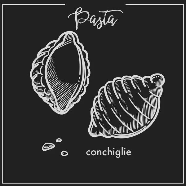 パスタ コンキリエ チョークは イタリア料理のメニューのアイコンをスケッチします イタリア パスタの包装またはレストラン プレミアム デザイン テンプレートの黒い背景に分離ベクトル コンキリエまたはシェル — ストックベクタ