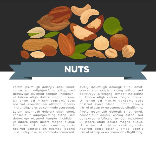 坚果有机营养和原始饮食信息海报 — 图库矢量图片
