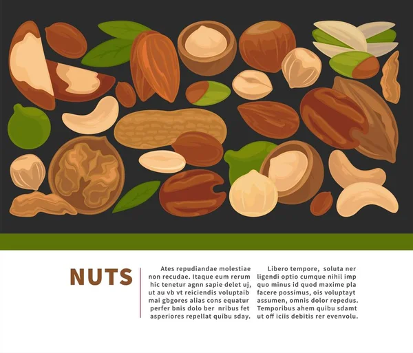 Nuts Nutrisi Organik Dan Pola Makan Informasi Mentah Poster Desain - Stok Vektor