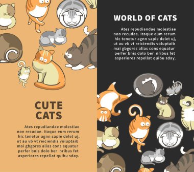 neşeli kitleri ve kedi pençe veya kuyruk ve seyir çizgi ile oynamak