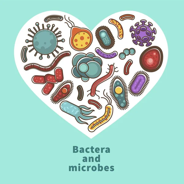 细菌和微生物医学细菌学或病毒的心脏海报和细菌微生物学研究和科学 — 图库矢量图片