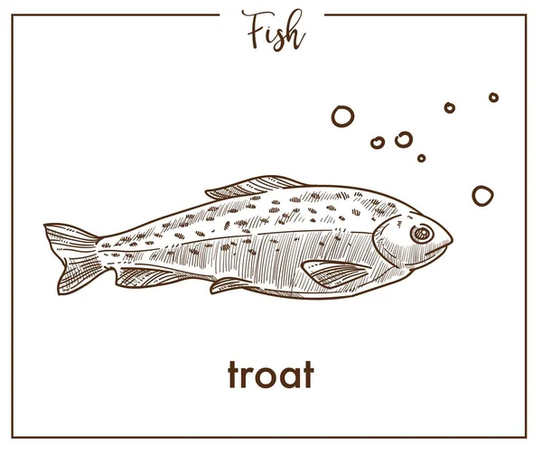 Trota Schizzo Pesce Icona Isolato Sfondo Bianco — Vettoriale Stock