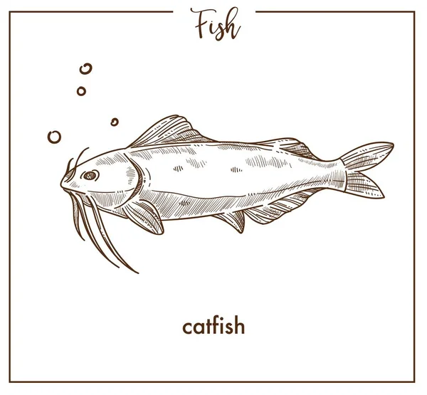 在白色背景下分离的鲶鱼素描鱼图标 — 图库矢量图片