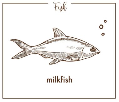 Beyaz arka plan üzerinde izole milkfish kroki balık simgesi.