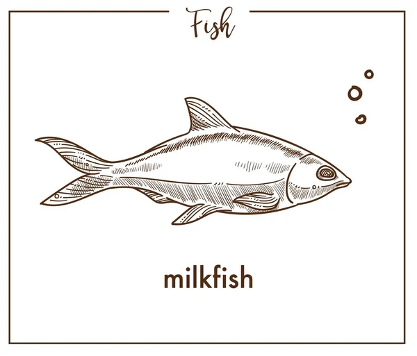 Beyaz Arka Plan Üzerinde Izole Milkfish Kroki Balık Simgesi — Stok Vektör